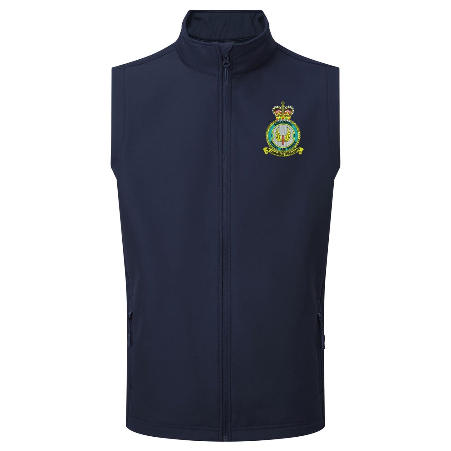No 1 Squadron RAF Gilet
