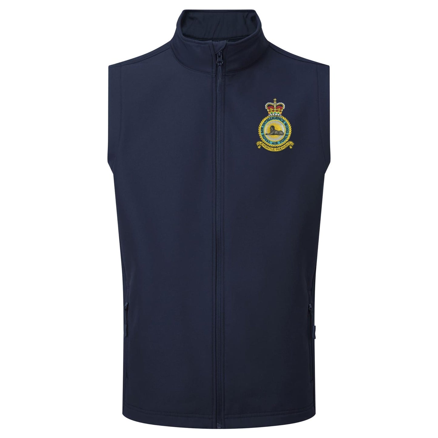 RAF Air Intelligence Wing Gilet