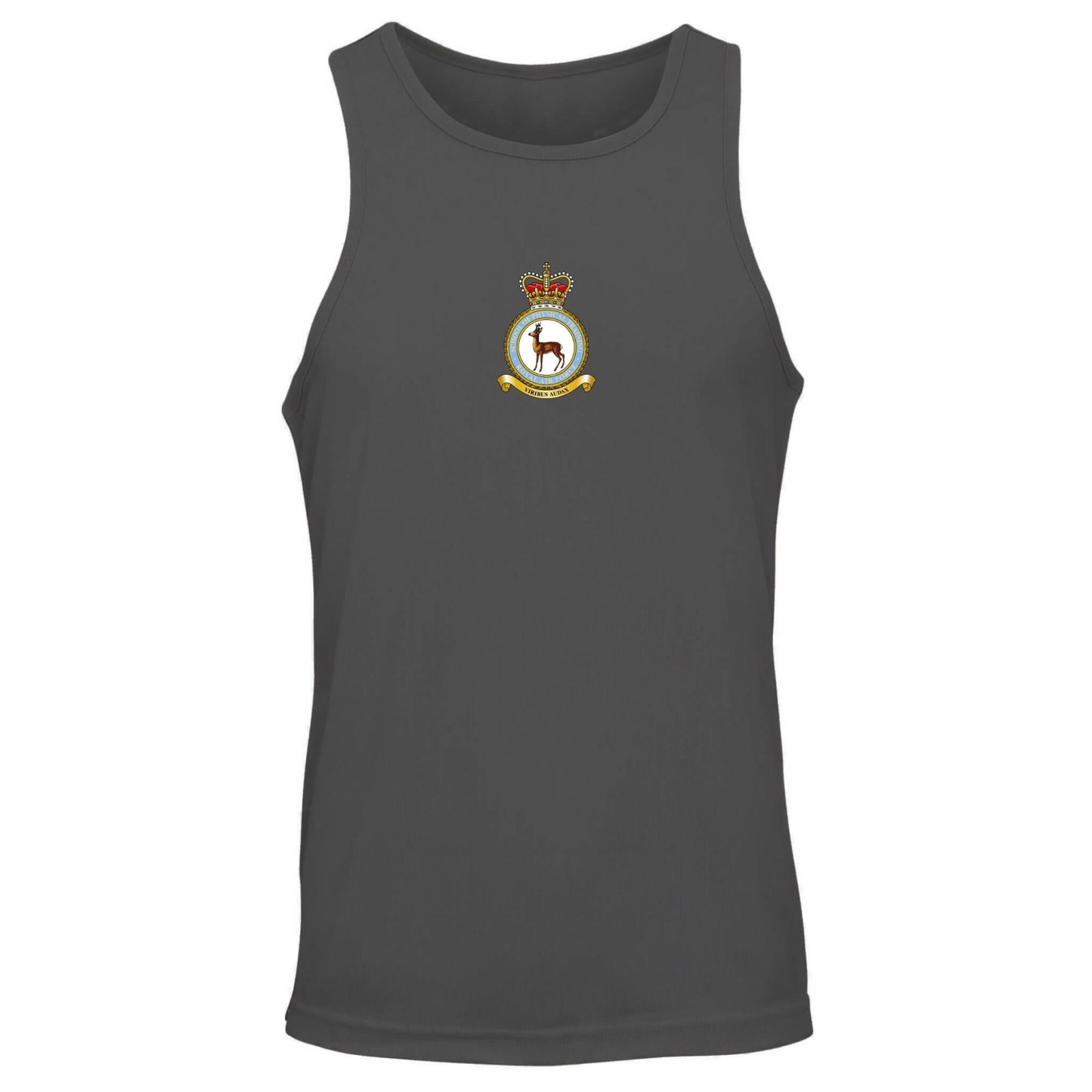 RAF School of Physical Training Vest