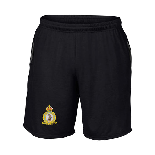 144 Signals Unit - RAF Performance Shorts