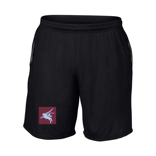 16 Air Assault Brigade Performance Shorts