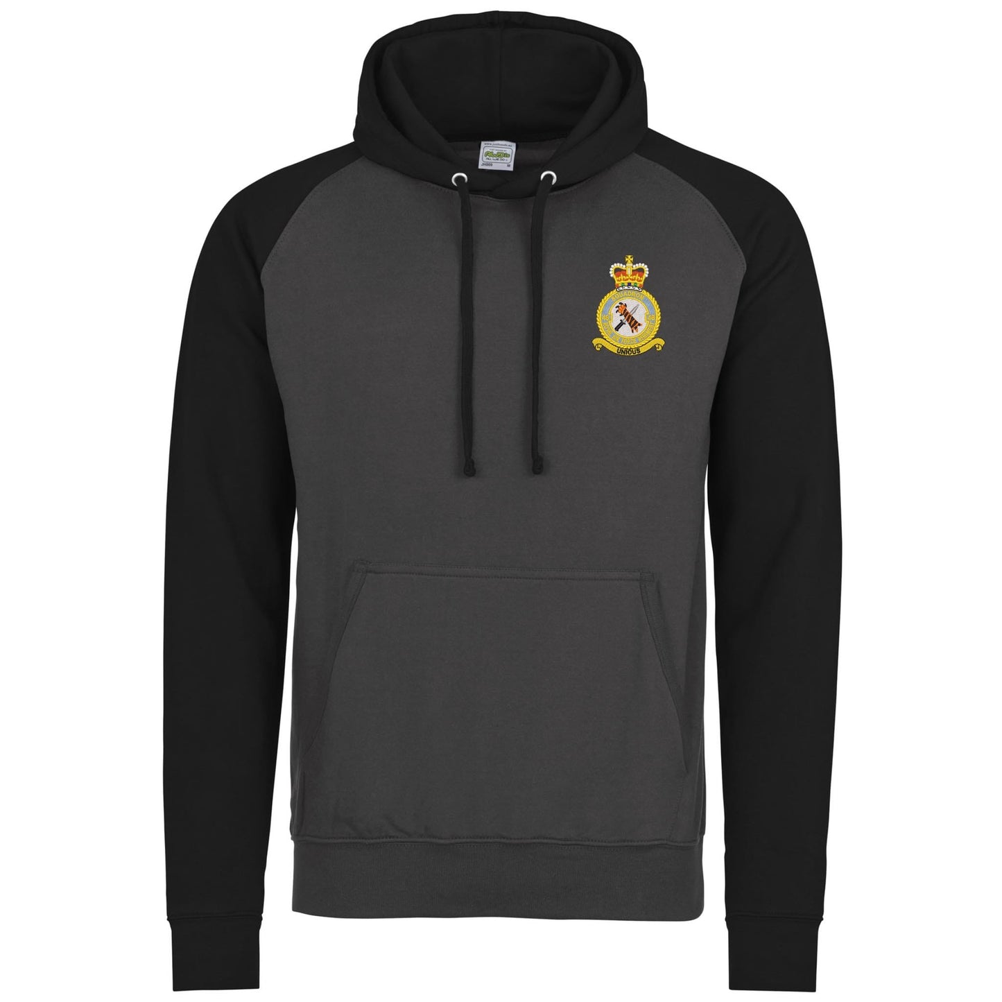48 Squadron RAF Regiment Contrast Hoodie
