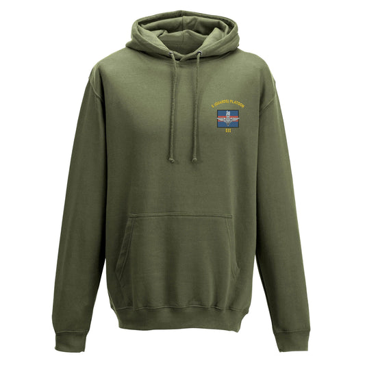 6 (Guards) Platoon Hoodie
