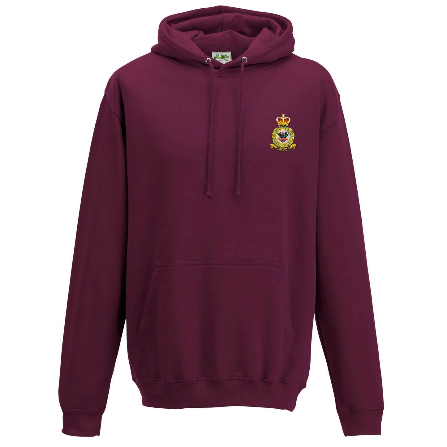 D Squadron Department of Initial Officer Training Hoodie