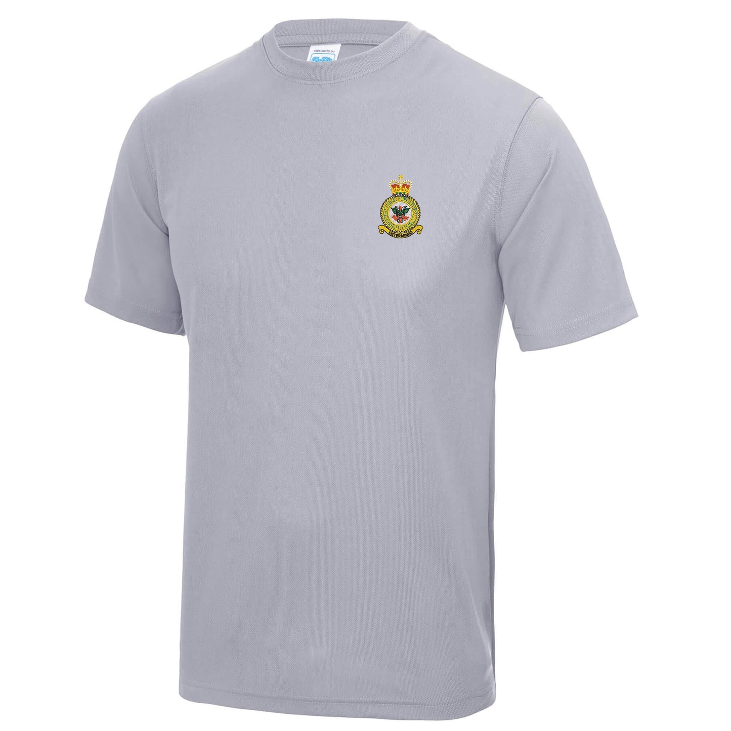 D Squadron Department of Initial Officer Training Polyester T-Shirt