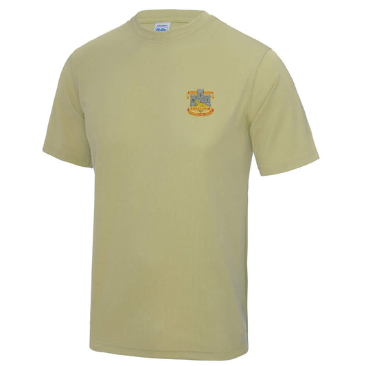 Devon and Dorset Regiment Polyester T-Shirt