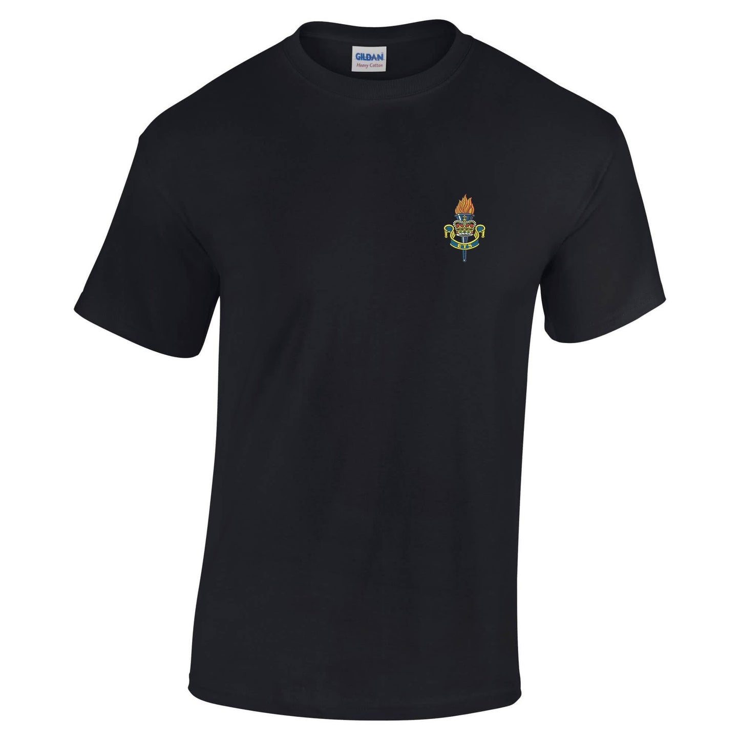 Educational and Training Services Cotton T-Shirt