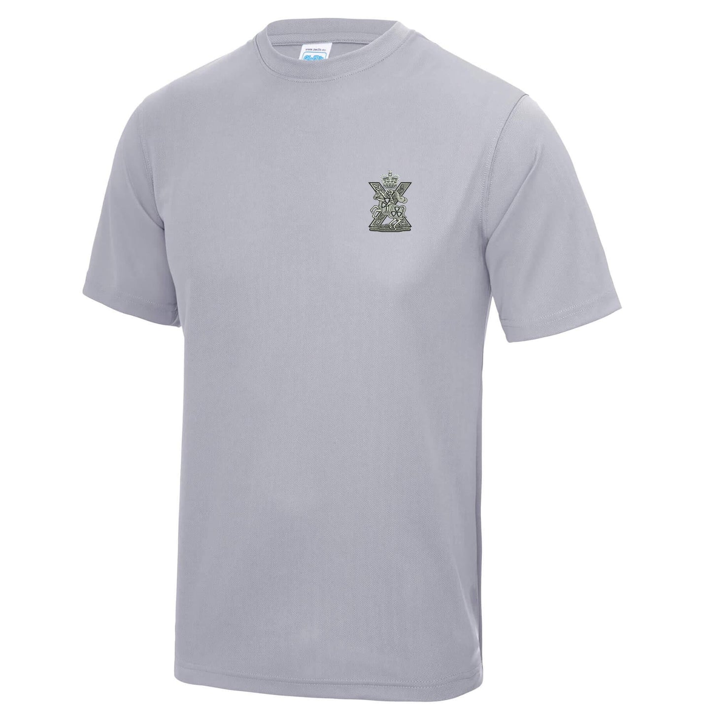 Fife and Forfar Yeomanry-Scottish Horse Polyester T-Shirt