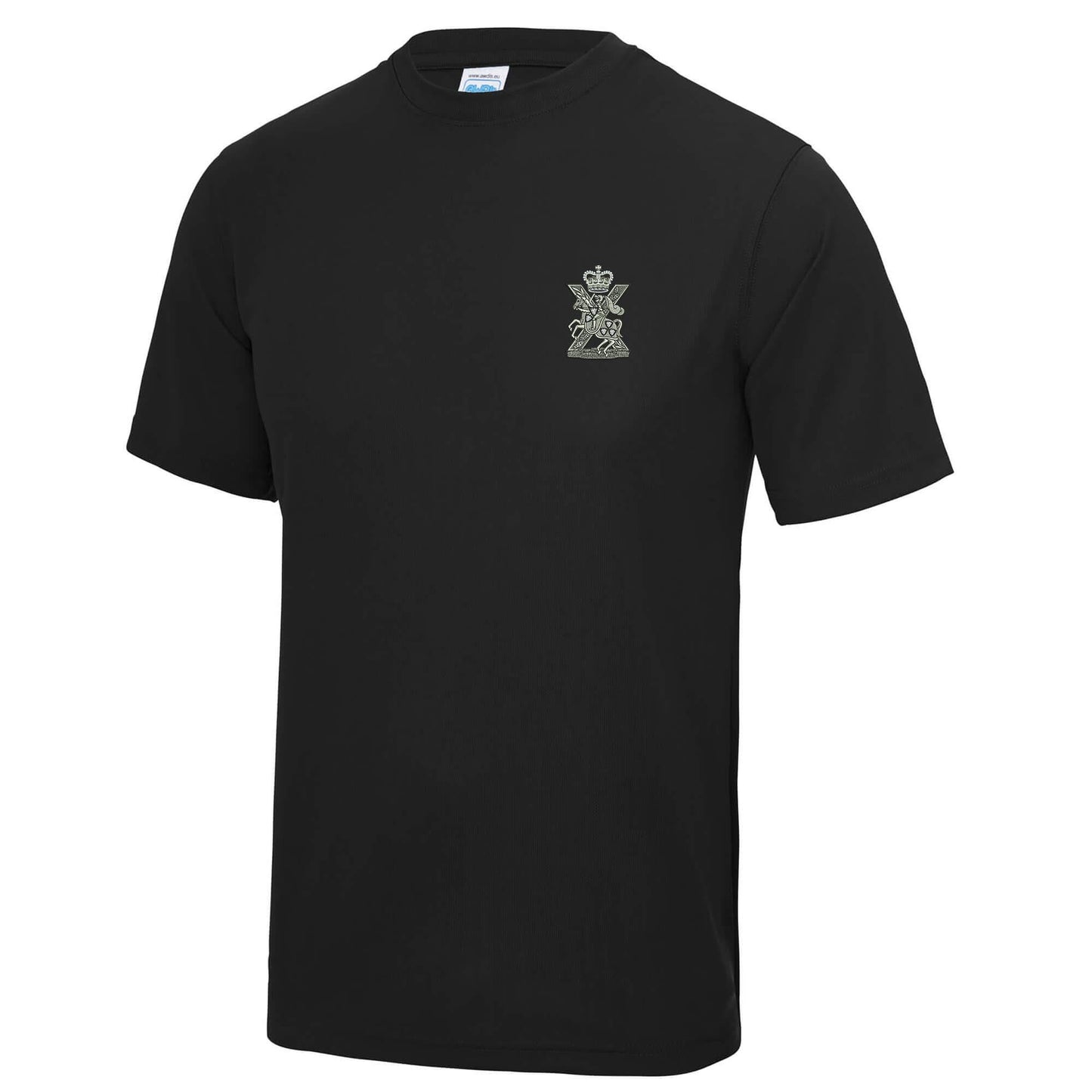 Fife and Forfar Yeomanry-Scottish Horse Polyester T-Shirt