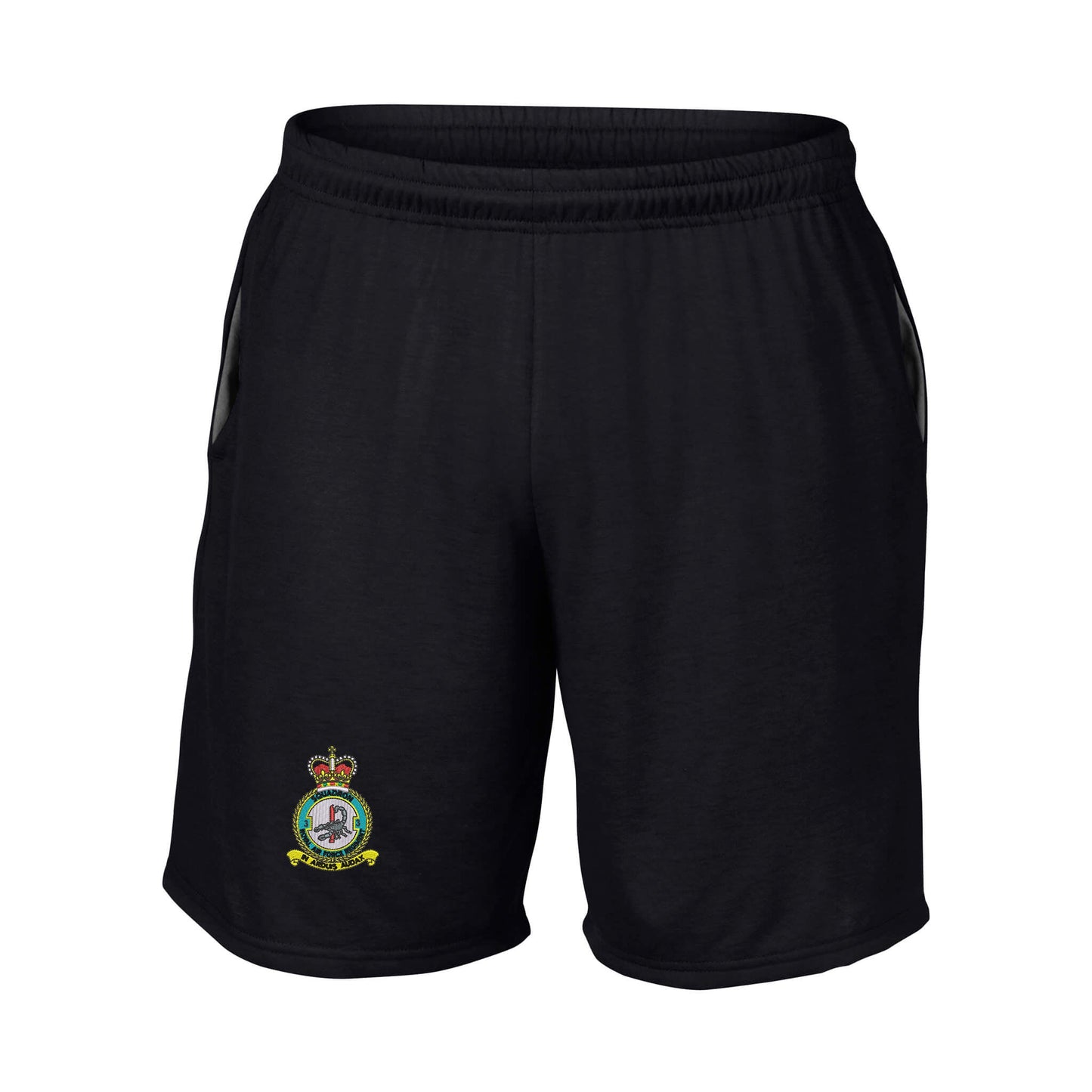 No 3 Squadron RAF Regiment Performance Shorts