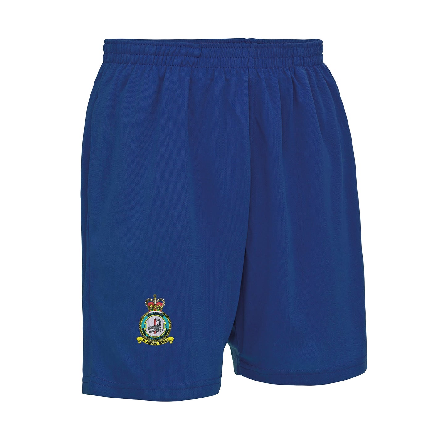 No 3 Squadron RAF Regiment Performance Shorts