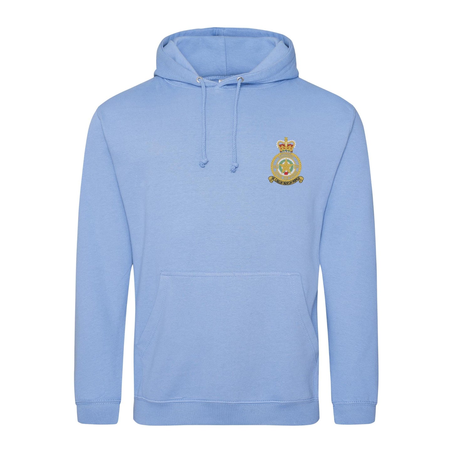No 31 Squadron RAF Hoodie