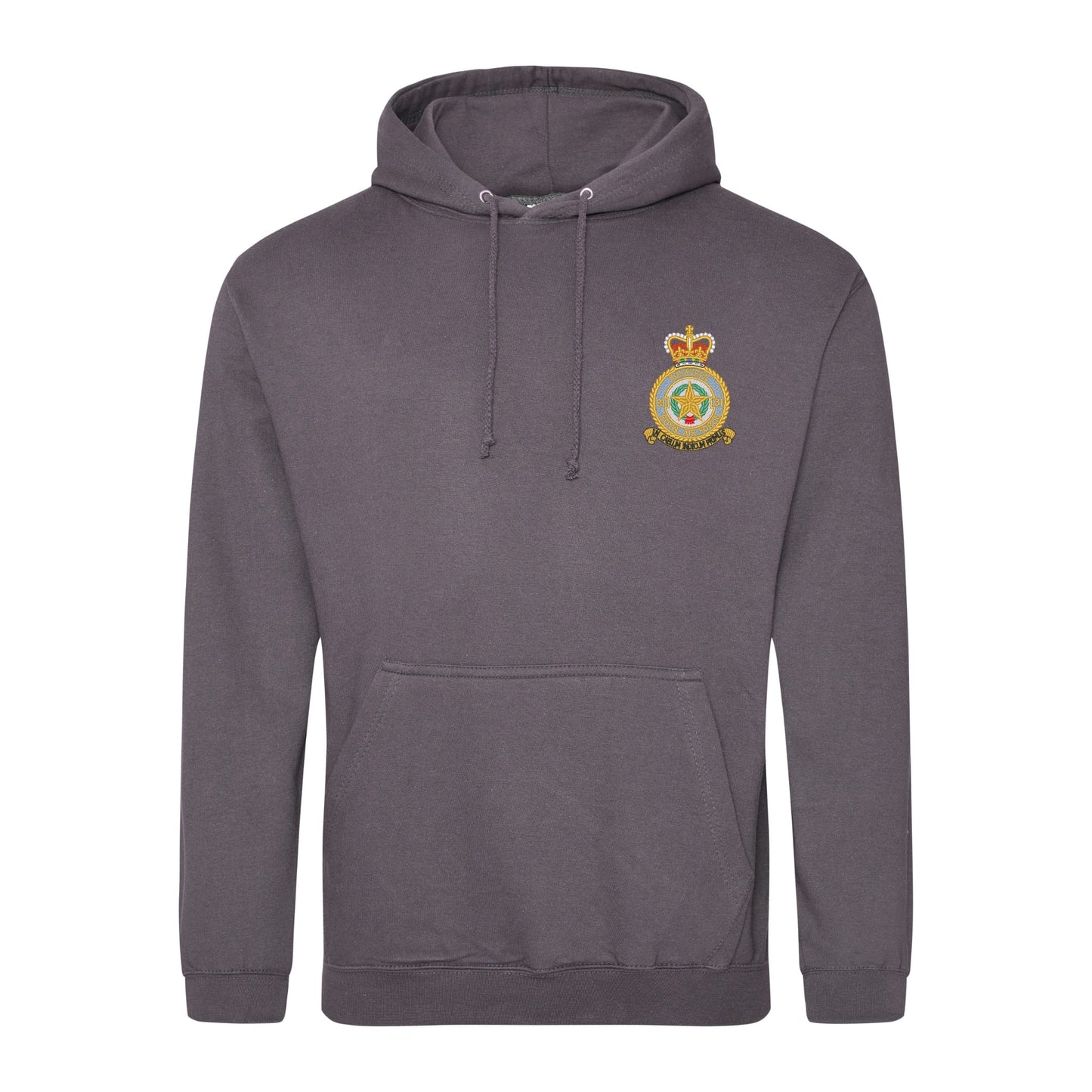 No 31 Squadron RAF Hoodie