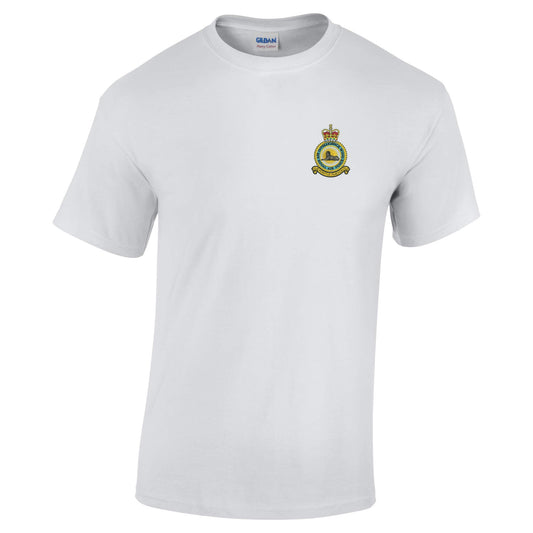 RAF Air Intelligence Wing Cotton T-Shirt