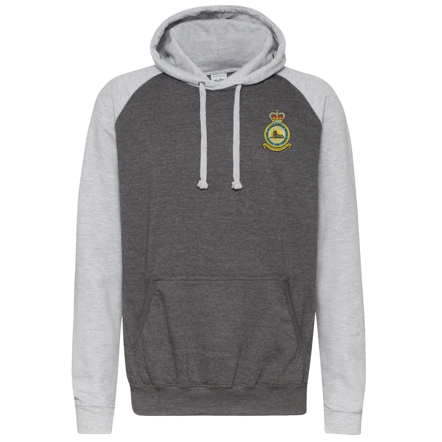 RAF Air Intelligence Wing Contrast Hoodie