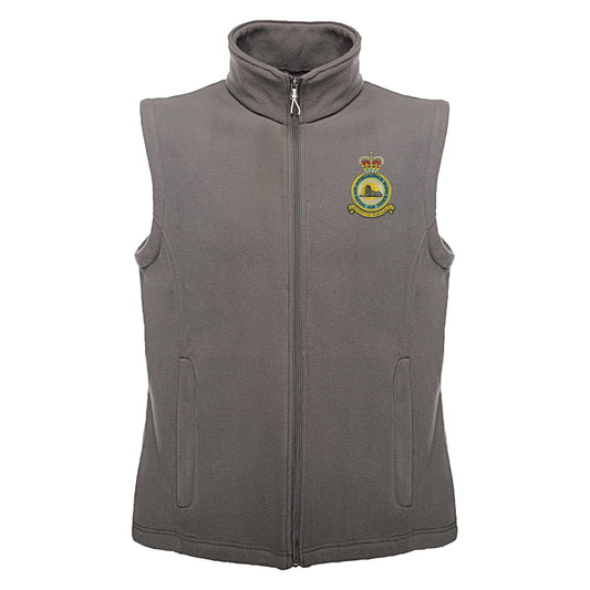 RAF Air Intelligence Wing Regatta Fleece Bodywarmer