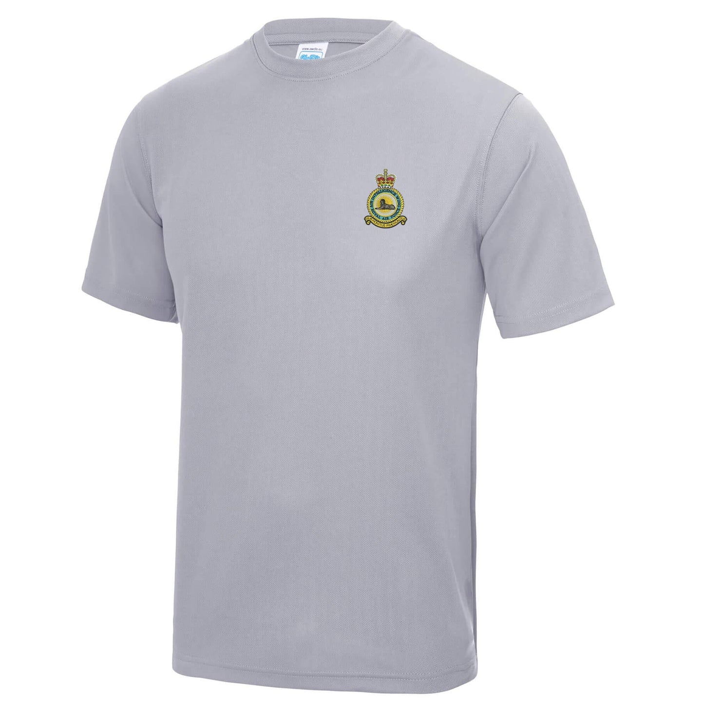 RAF Air Intelligence Wing Polyester T-Shirt