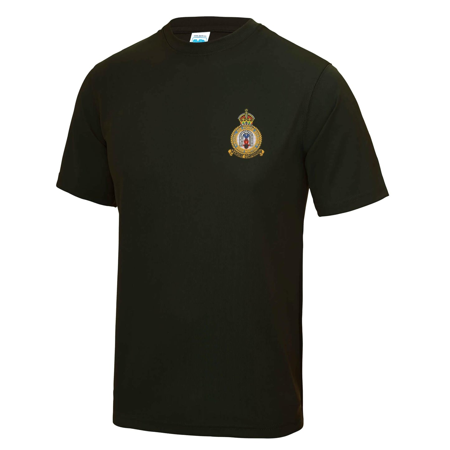 RAF Brize Norton Polyester T-Shirt