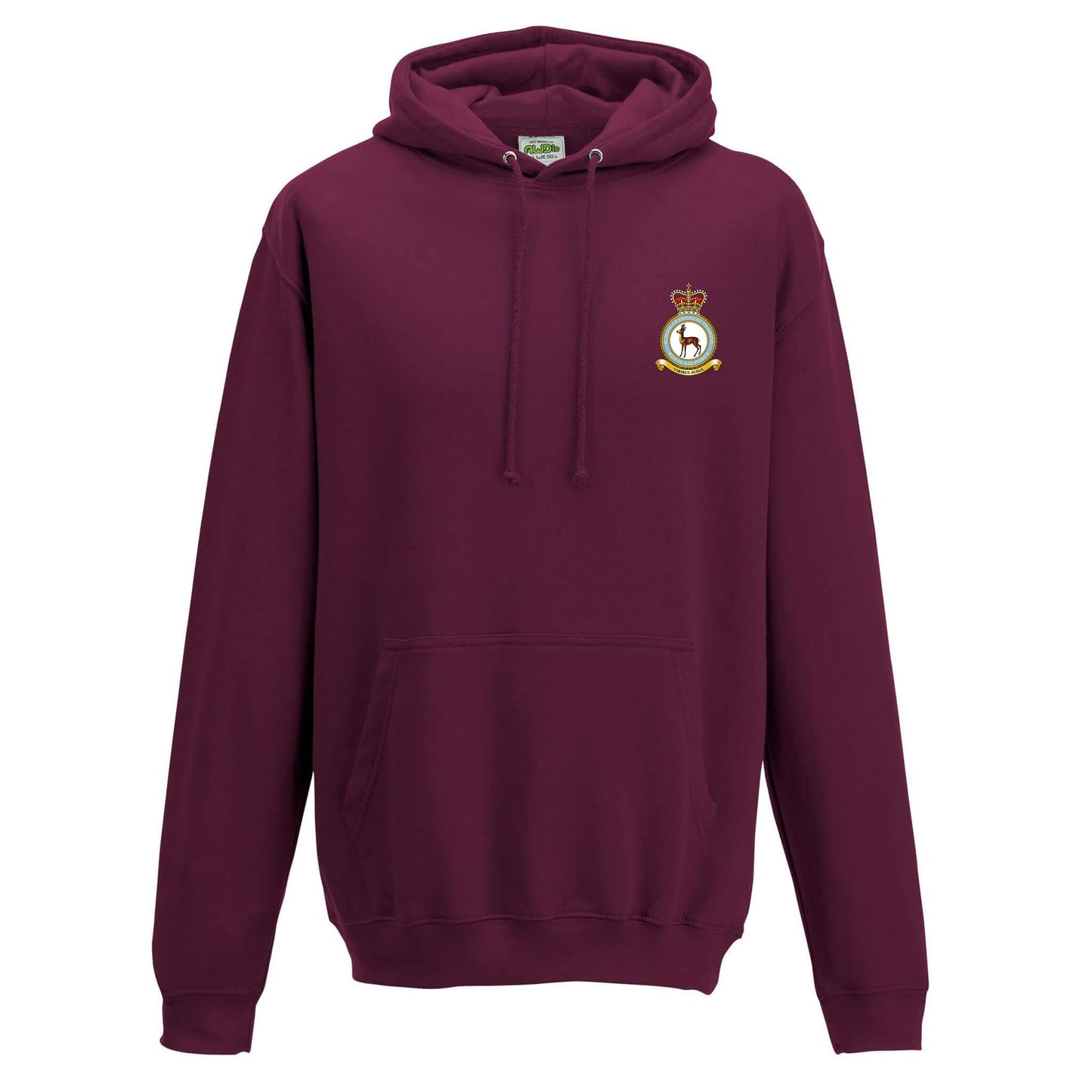 RAF School of Physical Training Hoodie