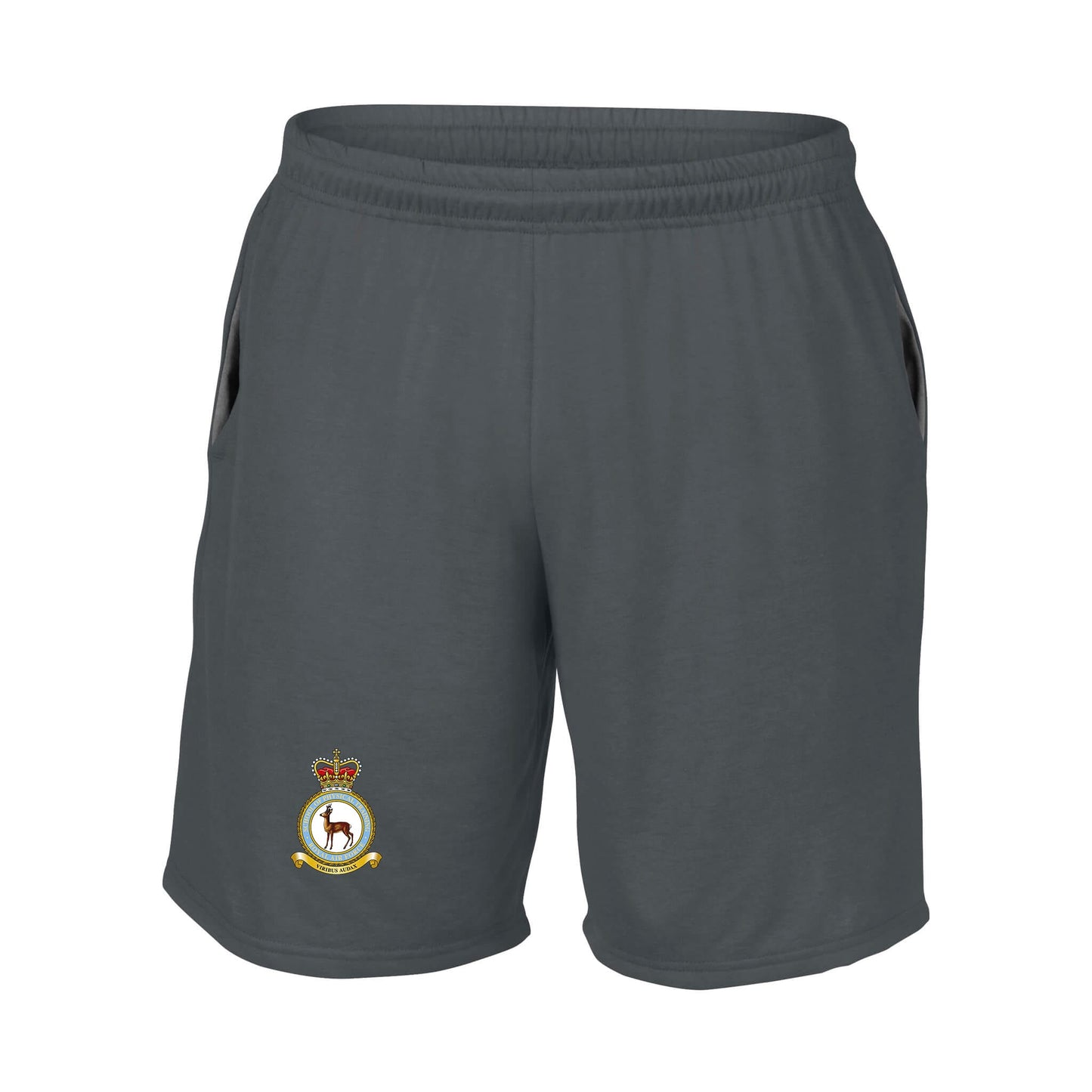 RAF School of Physical Training Performance Shorts