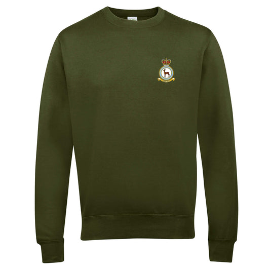 RAF School of Physical Training Sweatshirt