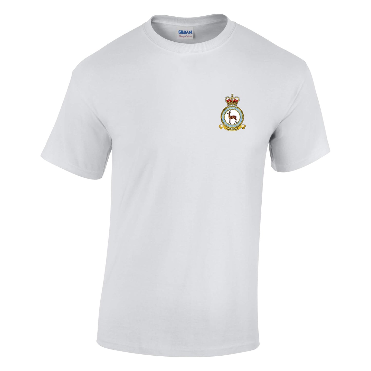 RAF School of Physical Training Cotton T-Shirt