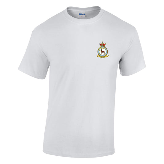 RAF School of Physical Training Cotton T-Shirt