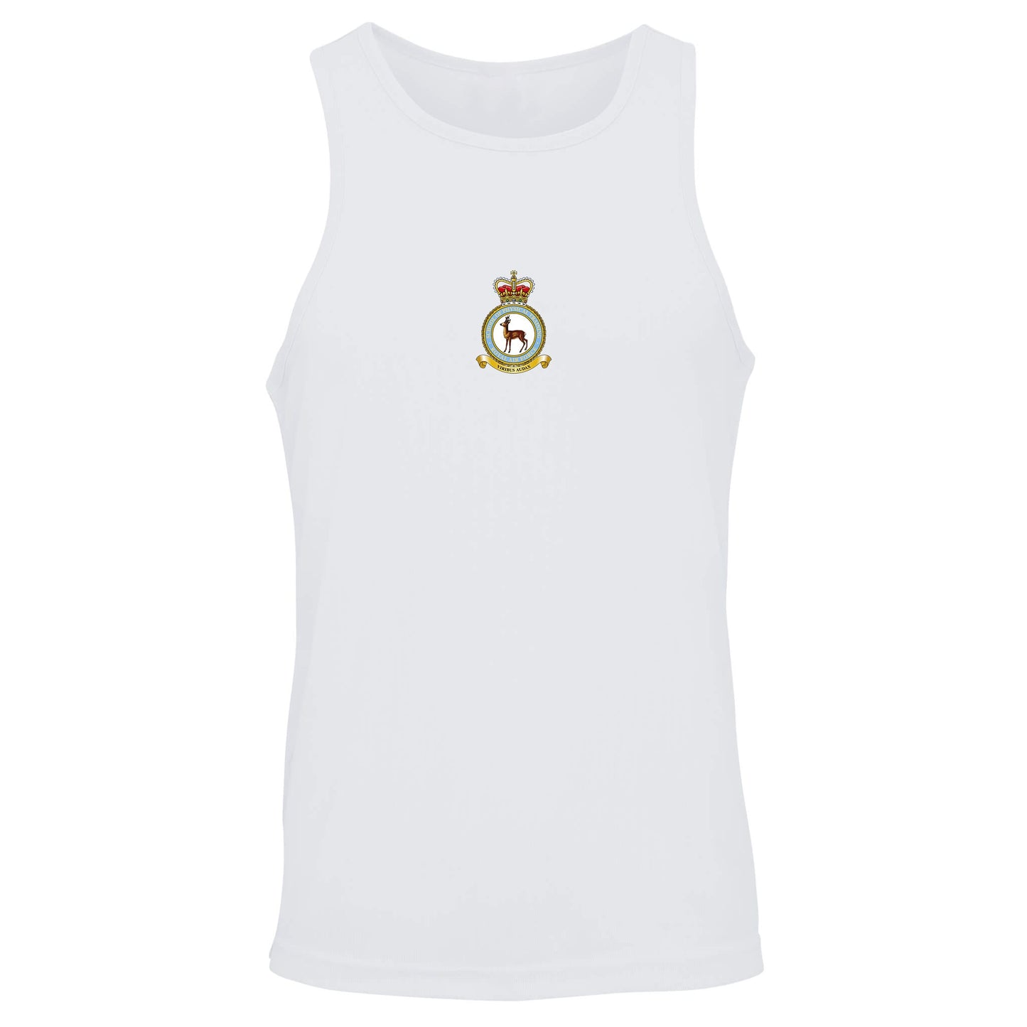 RAF School of Physical Training Vest