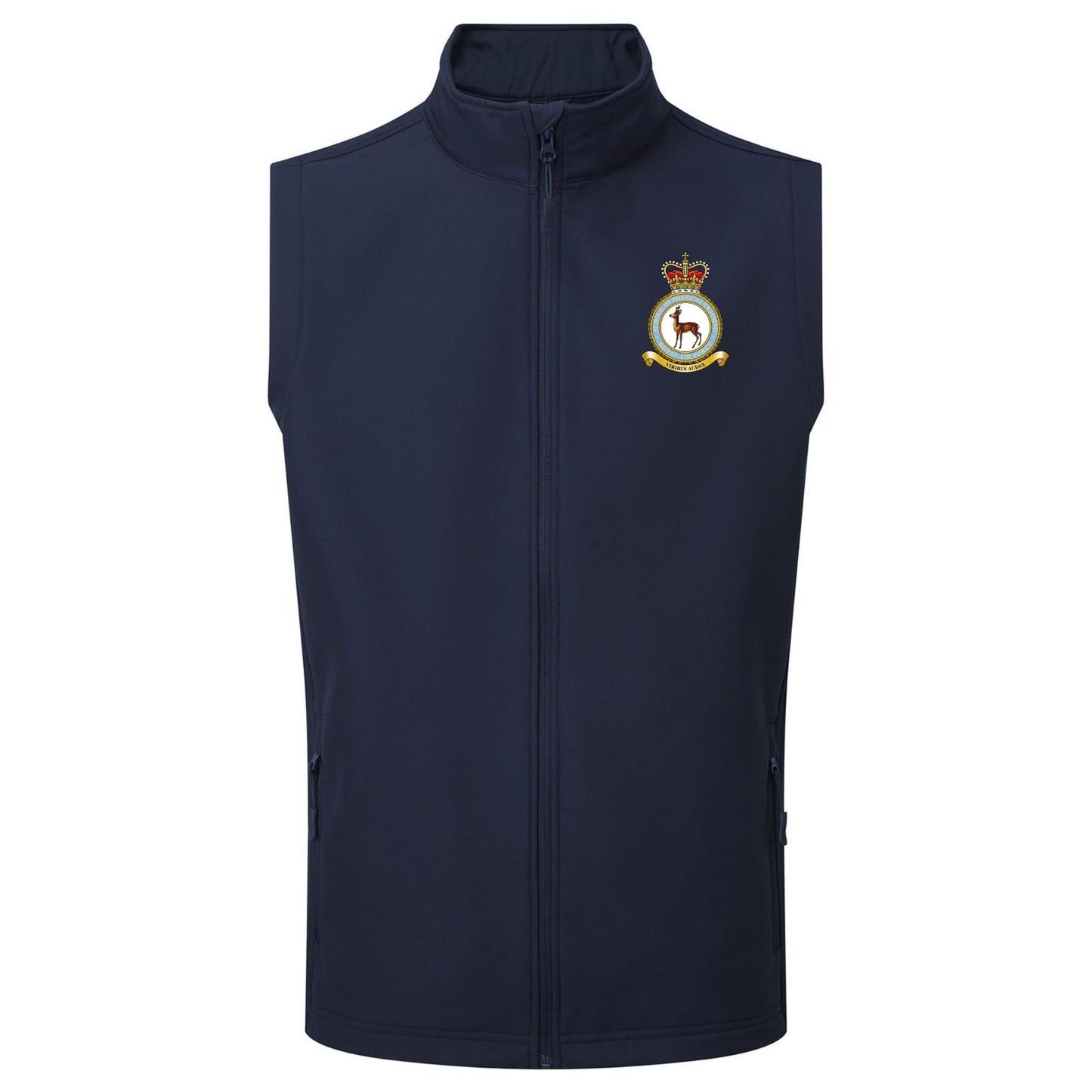 RAF School of Physical Training Gilet