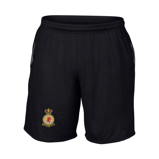 RAF Valley Performance Shorts