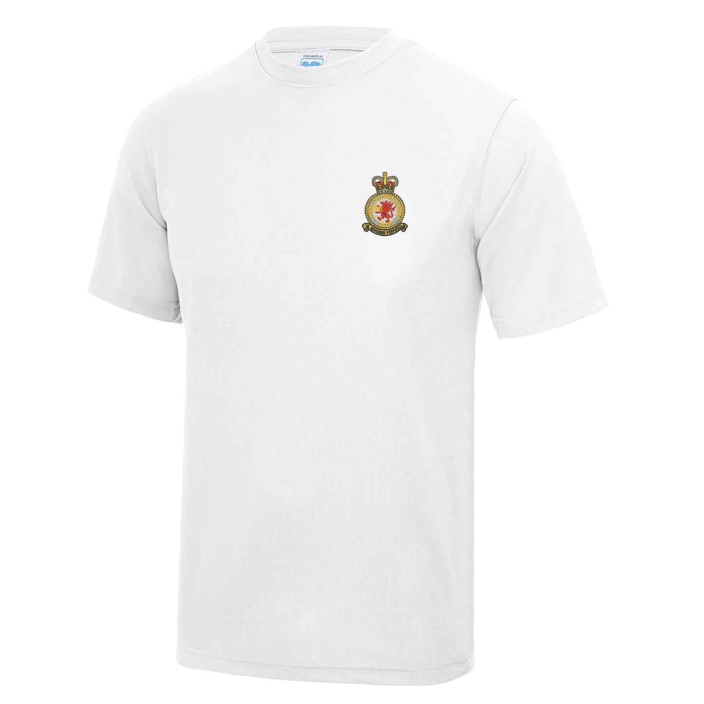 RAF Valley Polyester T-Shirt
