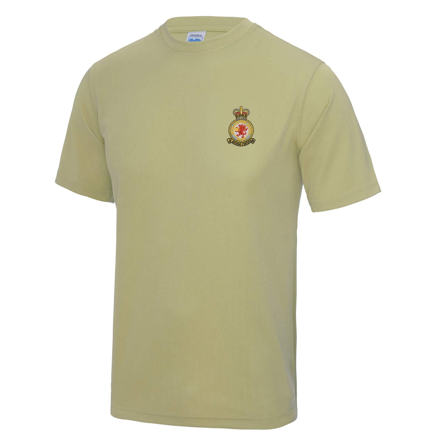RAF Valley Polyester T-Shirt