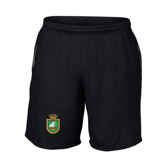 UK Maritime Component Command Performance Shorts