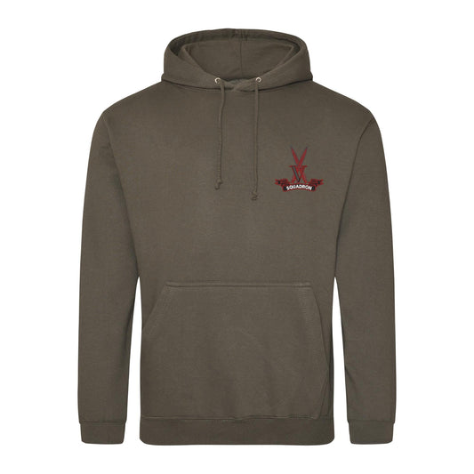 V Squadron Hoodie