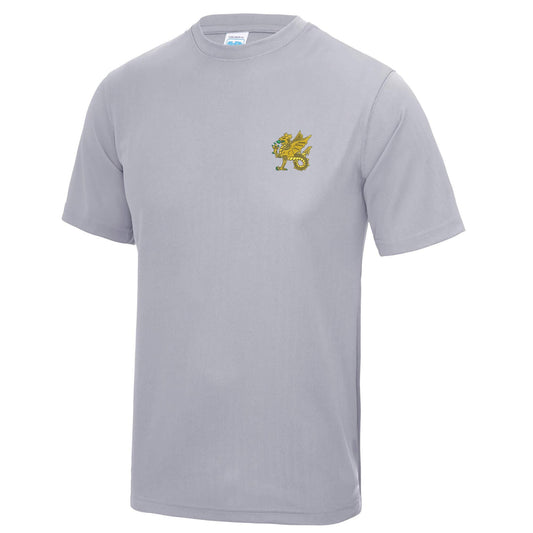Wessex Brigade Polyester T-Shirt